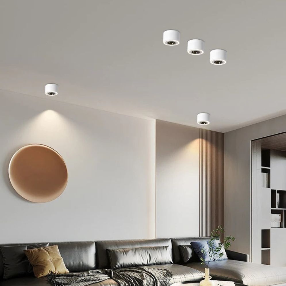 Plafonnier Led Spot Monté en Surface de Haute Qualité - Lumiine