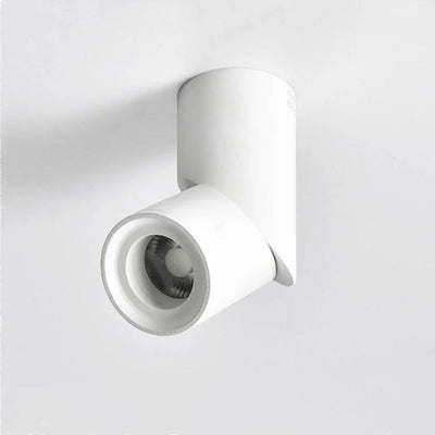 Spot Led Dimmable pour Décoration Intérieure Monté en Surface - Lumiine