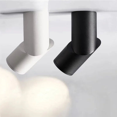 Spot Led Dimmable pour Décoration Intérieure Monté en Surface - Lumiine