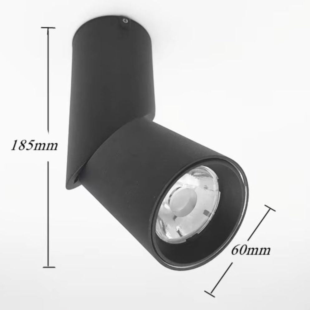 Spot Led Dimmable pour Décoration Intérieure Monté en Surface - Lumiine
