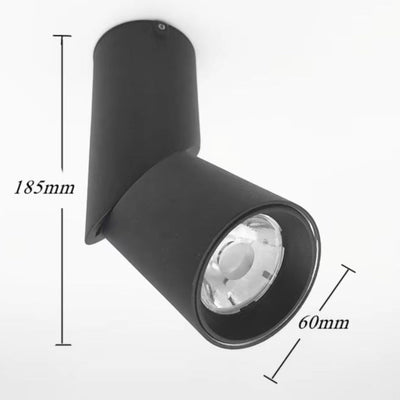 Spot Led Dimmable pour Décoration Intérieure Monté en Surface - Lumiine