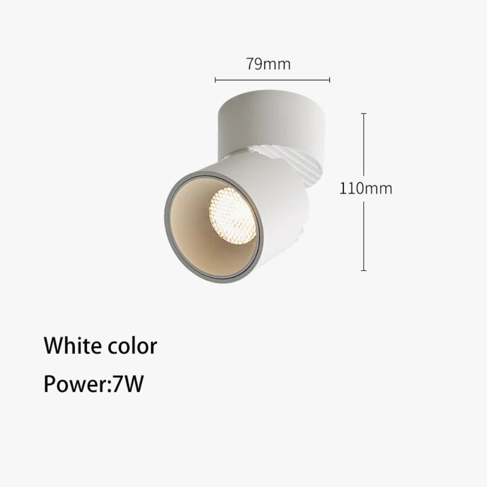 Spot Monté en Surface Downlight Cob led Éclairage Intérieur