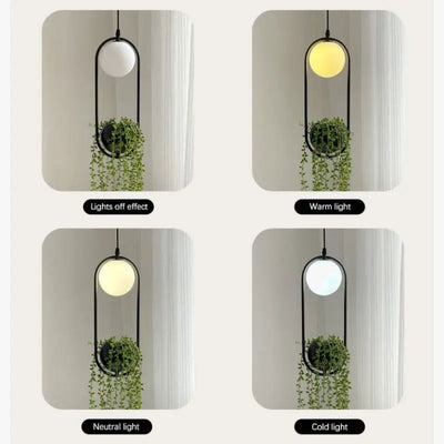 Suspension Moderne Arrondie pour Plante Pot - Lumiine